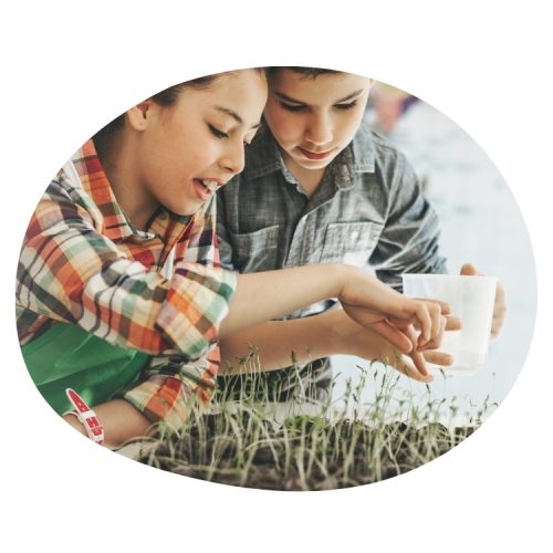 Image-Article-ExperimentationEnfants